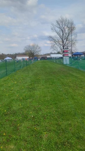 10K views · 373 reactions | Look at my Little Brother Teddy learning the ropes for Fast Cat. Fun run! Bloopy hugs | Bloopy the Wonder Dog | Facebook