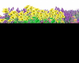 Pollinator Pathmaker