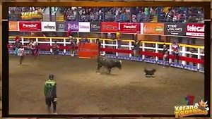 7.6K views · 254 reactions | "Toñito" el perro torero, se robó el show hoy, en el "Verano Toreado". Vean nada más: | Tertulias Palmareñas | Facebook