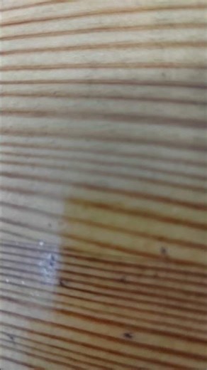 Day 20 of Learning to do Coding from 0 knowledge #coding #series #learning #codingnewbie