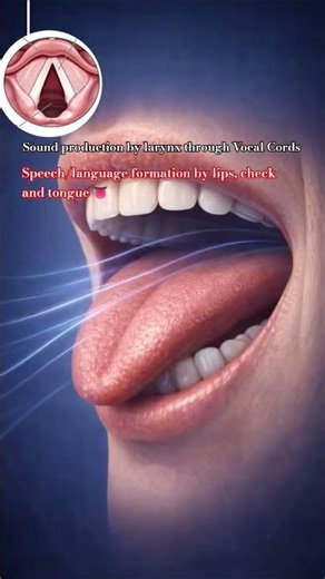 Sound production by vocal Cords #healthtips #shortvideo #Vocal cord #anatomy #health