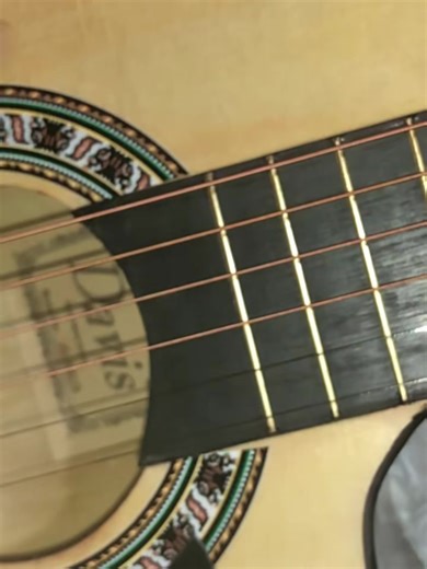 Davis Guitar Showcase: Electric And Acoustic Performances