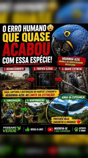 Um único erro humano quase fez essa espécie desaparecer para sempre... 😳 #shorts