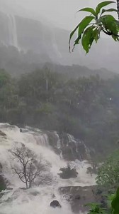 81K views · 2.5K reactions | Tamhini Ghat, Maharashtra  #nature #waterfalls #mountains #travelling #india | Travelling India | Facebook