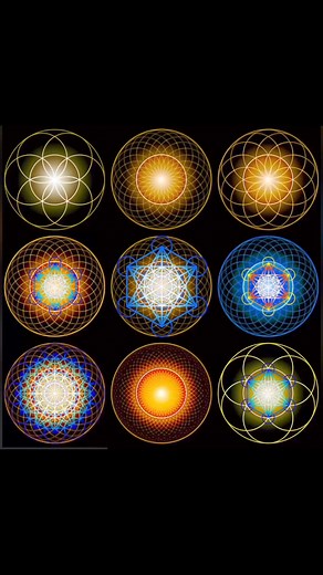 12 reactions | Metatron’s cube Animation | Natureofflowers | Facebook