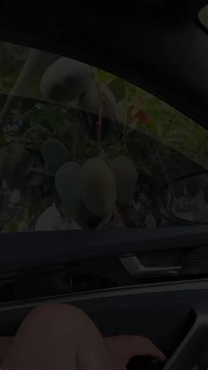 Discover Amazing Naturally Growing Organic Fruits