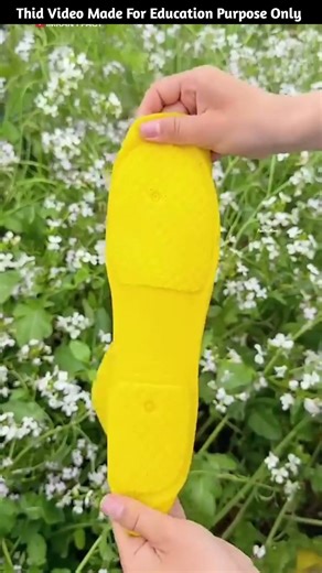 Building Wooden Log Cabin in Forest 🌲🎈 | Survival House Step by Step"8 #shorts #amazingfacts #facts