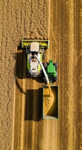 This Farming Machine is INSANE 😱 Modern Agriculture in USA