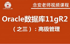 B站讲的细致的Oracle数据库从入门到精通教程（10h搞定） 错过必后悔，数据库实战精讲（附配套资料）.java开发