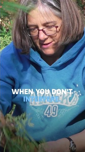 Sustainable Cooking Made Simple