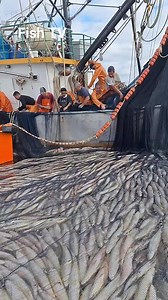 207K views · 1.6K reactions | Fish TV | Fisheries World | Facebook