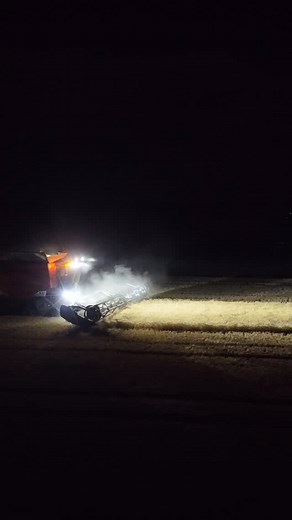 172K views · 58K reactions | Storms lighting up the sky ⚡️ #KirklandAg #australianfarmers #farminginaustralia #agricultureaustralia #aussieag #regionalnsw #outbackliving #lifeontheland #harvest2025 #wheat #agriculture #farmer #farming #mymoree #storm #lightning | Kirkland Ag | Facebook
