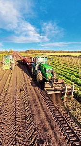 The team at Thoresby Farming harvesting carrots with their John Deere tractors and Grimme harvester | Pro Horizon Farming Content