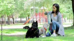 Woman in a park with two small breed dogs