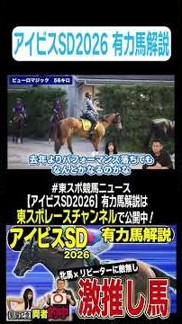 【#アイビスSD 2026】条件揃ってこの馬推さない訳が無い！競馬記者が徹底解説します！《東スポ競馬ニュース》#shorts