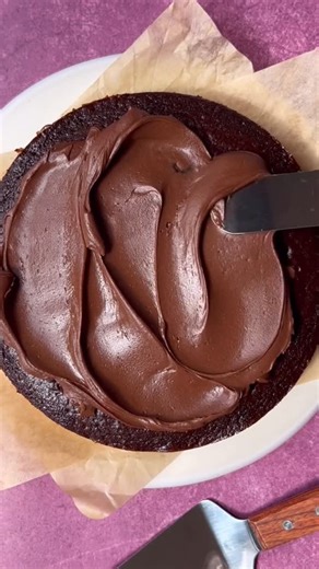 Christina Marsigliese - Food Scientist on Instagram: "This is my fudgy chocolate frosting that I use for my cakes instead of buttercream and it is SO GOOD, made with just 5 ingredients and you don’t need a mixer! There’s no powdered sugar and no softened butter required. The recipe is on my site: https://scientificallysweet.com/the-best-chocolate-frosting/ #bestchocolatefrosting #chocolatefrosting #chocolateganache"
