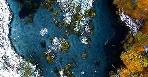 Leaf-Peeping Is Even Better By Drone