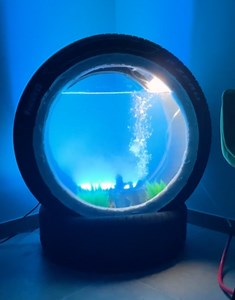 4.3K views | From Rubbish to Refuge: Building a Beautiful Car Tire Fish Tank!  | 5-Minute Crafts Green | Facebook