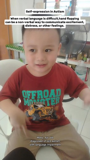 Hand flapping | Mommy and Ausome Mavy