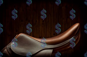 Horse Budgeting 101: Set Yourself Up for Success - Horse Rookie