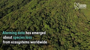 44K views · 198 reactions | Researchers are using a huge data set,...