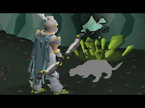 Obtained the Best Pet in OSRS