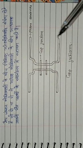 Gap Junction | गैप जंक्शन क्या है? | Cell Communication | Biology in Hindi