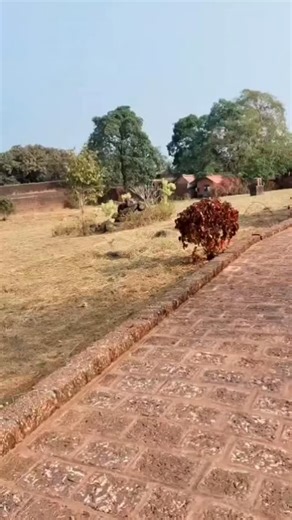 °🦋_veniii_🦋° on Instagram: "Bekal fort #kasargod#🥀#peacefulplace💕"