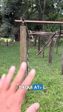 Eu devo construir um bunker ? Sim ou não ?