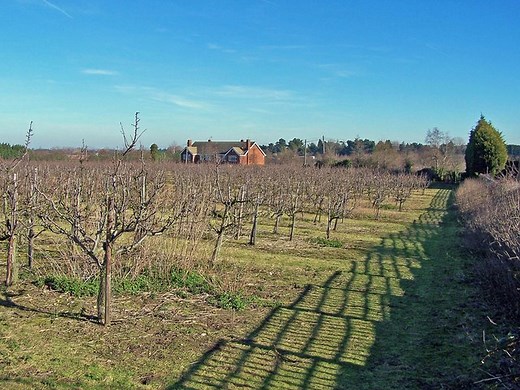 Saxon Shore Way Walking Route