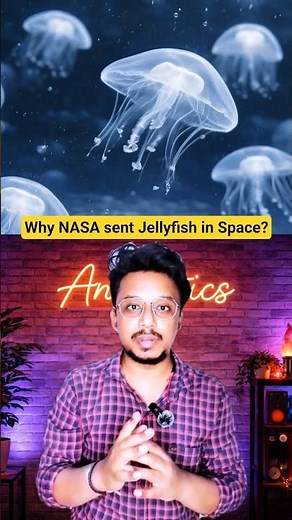 Why NASA Launched Jellyfish Into Space