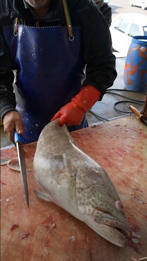 How to Make Perfect Grouper Fillets Quickly