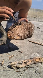 Survival Challenge: This Trick Can Light Fire Without Matches! | Ser Ron