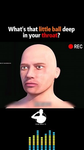 Terry Johnson on Instagram: "The uvula #humanbody #throat #explorepage✨ #explore #foryoupage #foryou #followforfollowback #mrthinkaboutit"