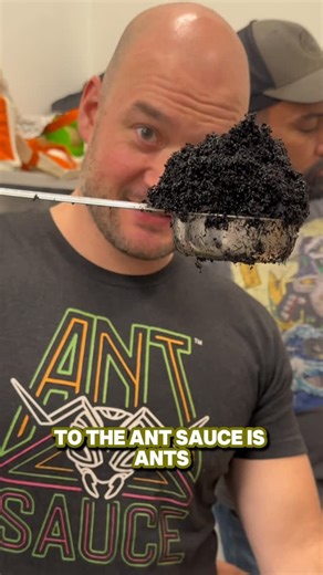Ant Sauce | More ant legs: yes or HELL YES? #AntSauce #EdibleInsects #WeirdFood #FoodReels #ATXFood | Instagram