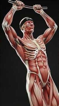 Calisthenics vs Gym: Which Builds REAL Strength?