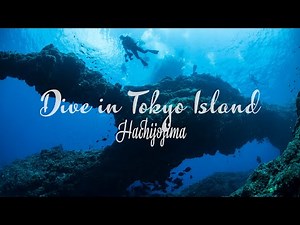Dive in Tokyo Island "Hachijojima" 東京の南国、八丈島でダイビング