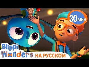 Мухи | 30 минут | Обучающие мультики для детей - Blippi Russian