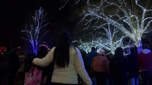 There’s something magical about ZooLights at the Smithsonian’s...