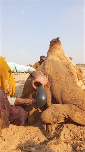 سر من أسرار حياة الجمال يكشف لأول مرة