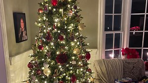 What is a robot Christmas tree and where do you buy one in NJ?