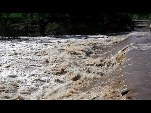 The Hydraulic jump: Hydraulic jumps in open channels