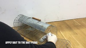 Watch The Big Cheese TBC080 Rat Trap, Medium Silver on Amazon Live