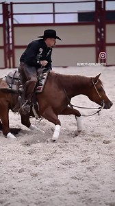 1.1K views · 54 reactions | Poetry in motion @monty.horses  Amazing  footage by @emilythurnerphoto #roohide #roohidesaddlery #ridearoo #cuttinghorses #ncha #montybuntincuttinghorses #actionshots #performancehorses #therunforamillion #fyp | Roohide Saddlery | Facebook