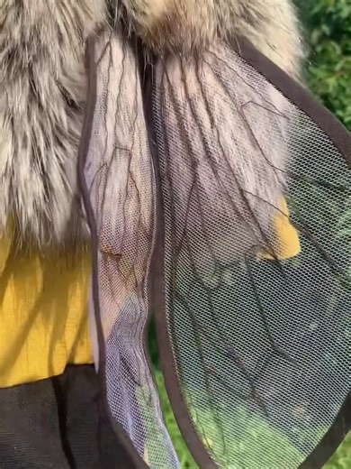 Handmade Bee Costume for Kids: Jersey Vest & Wings - Etsy