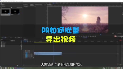 pr教学 如何批量导出视频