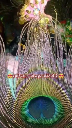 हमारे लाल जी बहुत छोटे-से है 😍🌹🦚❤️🌹🦚❤️#jaishreekrishna #shyamkripa #jaishreeshyam #shyamjibhakti