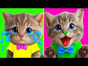 Cat and Animals Videos Little Kitten Adventure - Educational Cartoons for Kindergarden