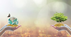 Pautas sociais, ambientais e de governança chamam a atenção para a ESG