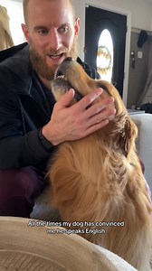 Dogs Are Smarter Than You Think... | Wally Dog